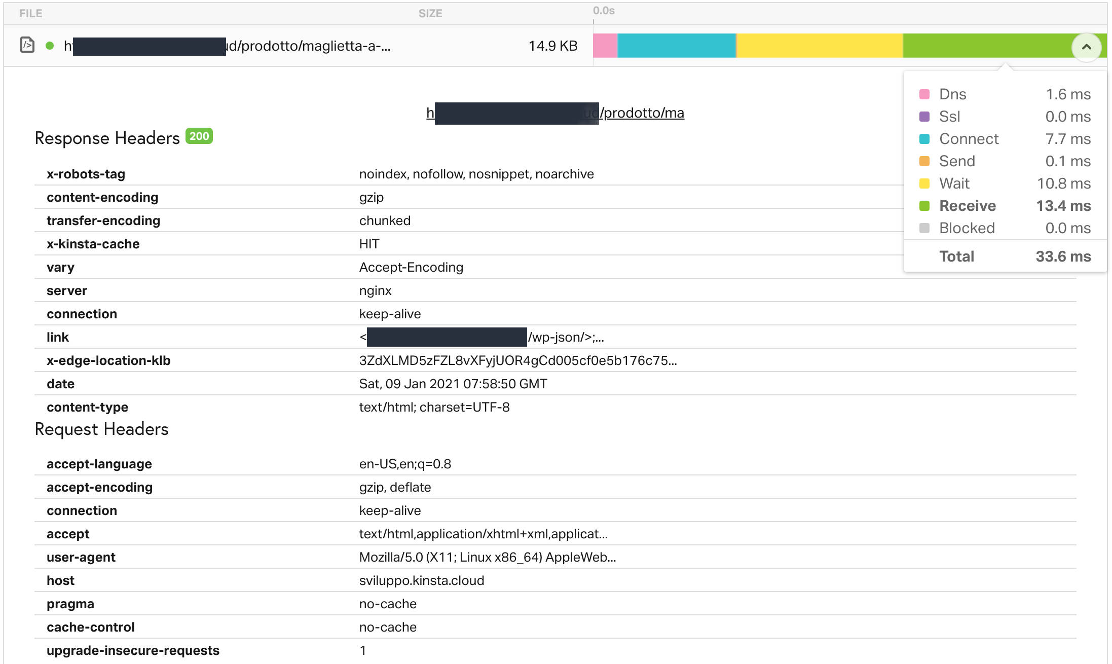 Tempi di elaborazione di una richiesta su Kinsta