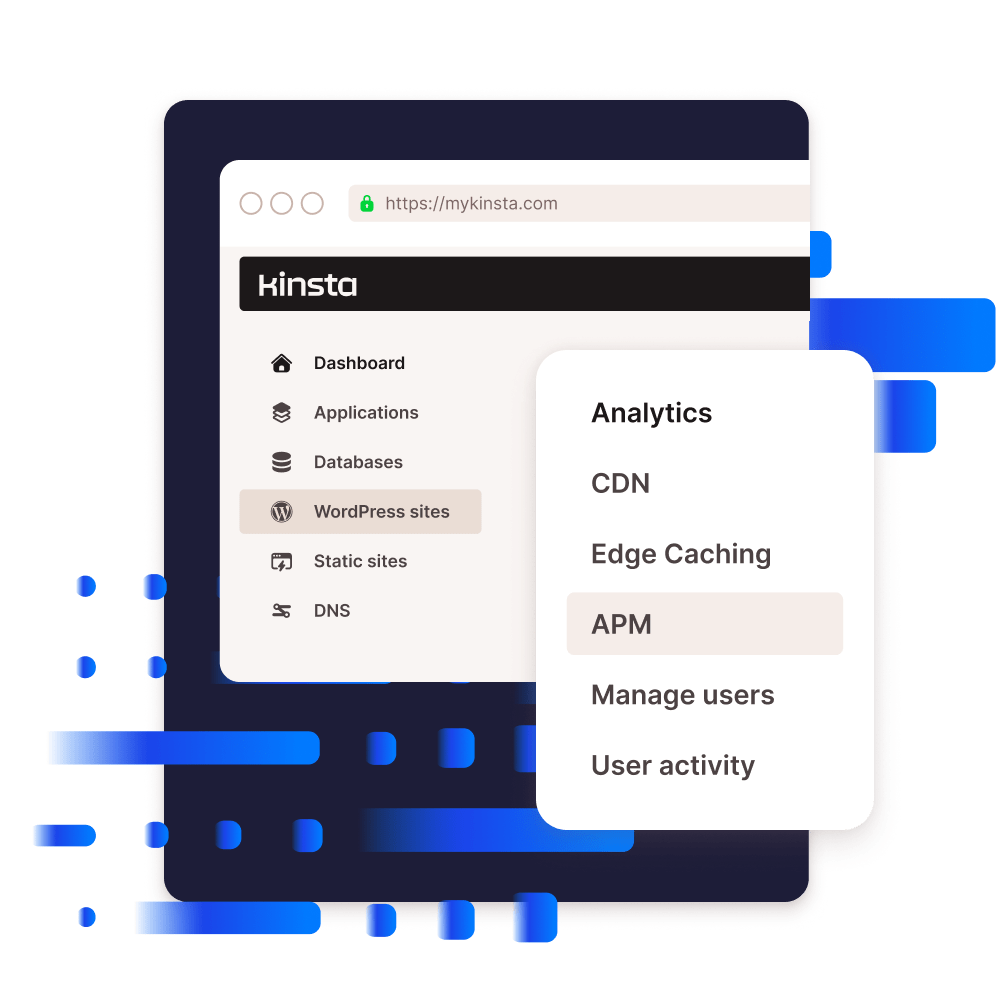 Screenshot highlighting where to find the APM tool inside MyKinsta